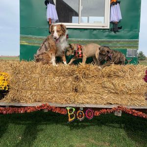 Meet your Posher, Lesley